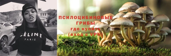 дмт Алексин