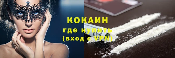 стаф Алзамай
