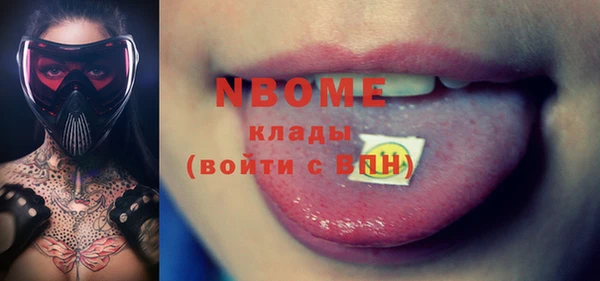 стаф Алзамай