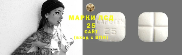 стаф Алзамай