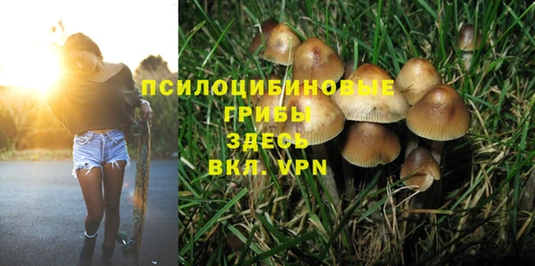 дмт Алексин