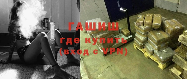стаф Алзамай