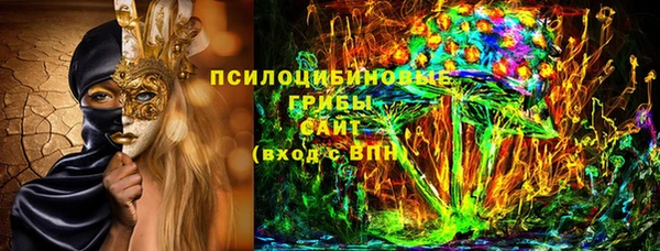 стаф Алзамай