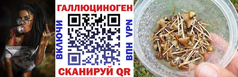 Псилоцибиновые грибы MAGIC MUSHROOMS  Нижнекамск 