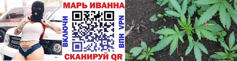 Бошки марихуана планчик  Нижнекамск 